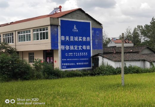 蓝田决定墙体广告价格的因素有哪些?