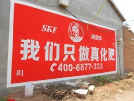 蓝田刷墙广告”蕴含了时代命题