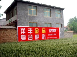 蓝田如何让墙体广告展现最大化效果