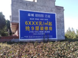 蓝田品牌公司青睐的墙体广告
