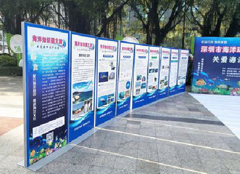 蓝田KT板的种类和知识。